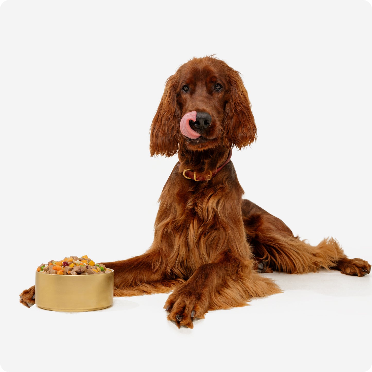 Chicken and Garden Vegetables Recipe