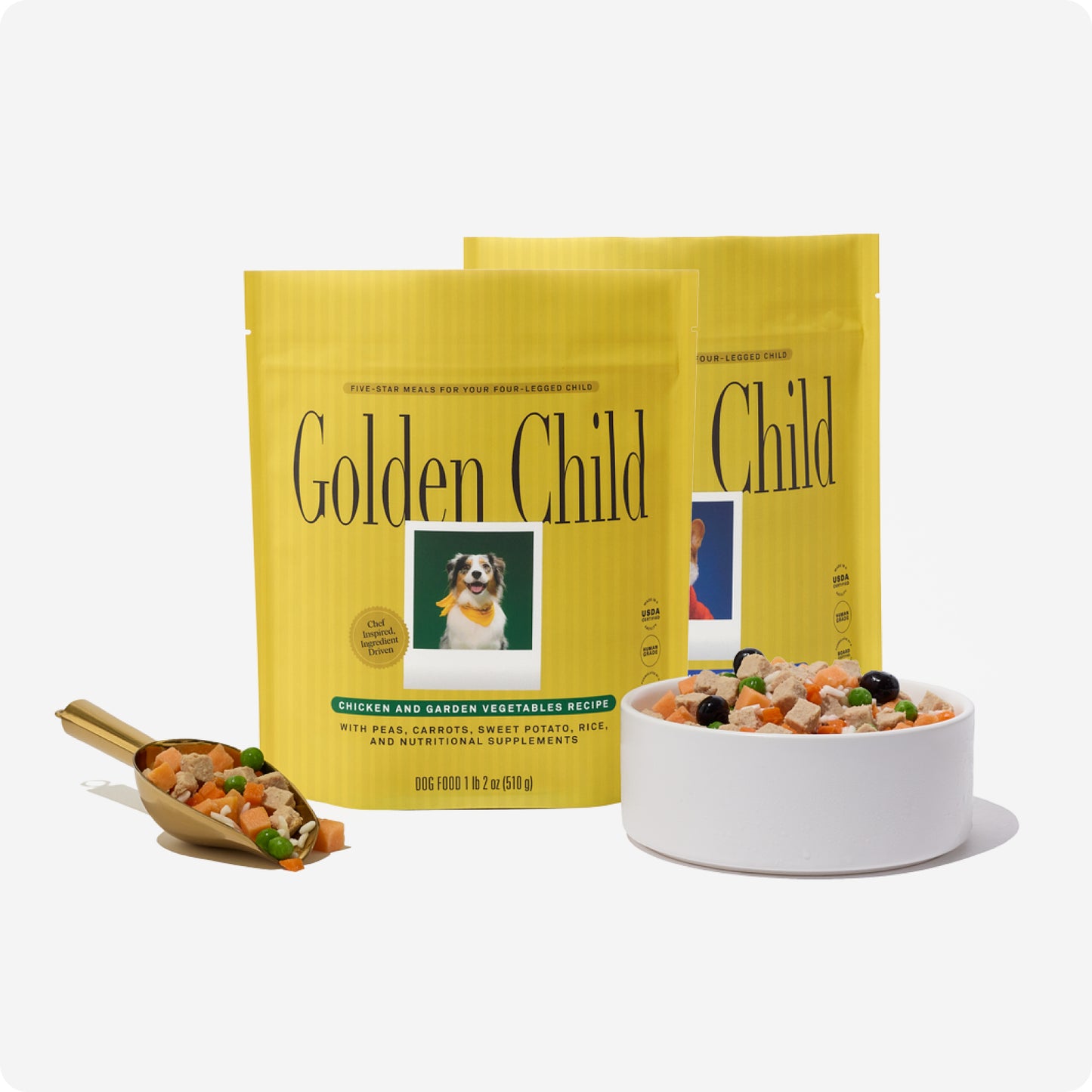 Chicken and Garden Vegetables Recipe