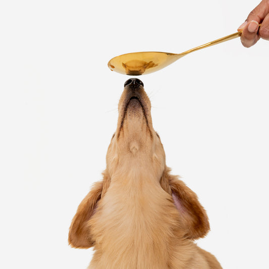 Golden Spoon Peanut Butter