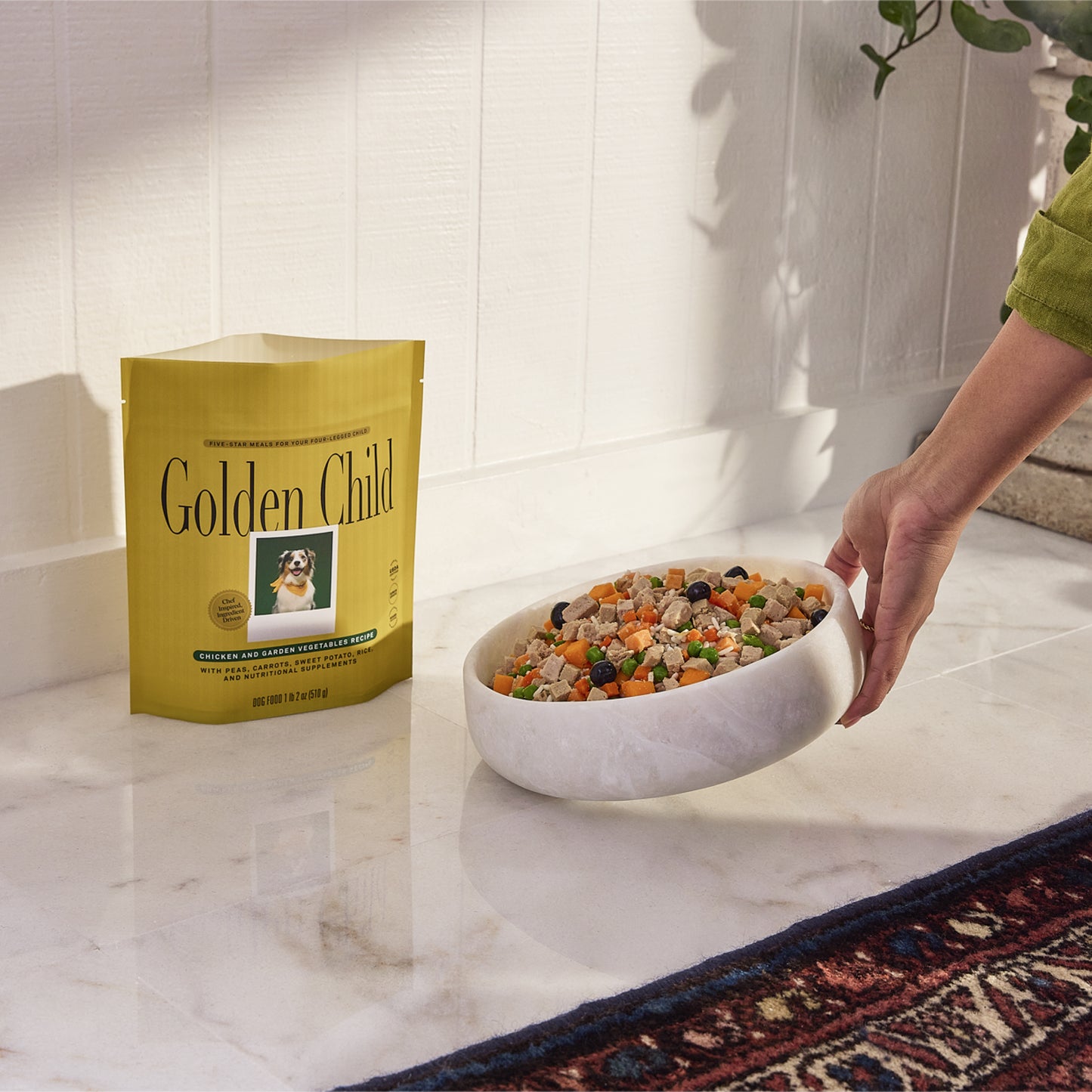 Chicken and Garden Vegetables Recipe