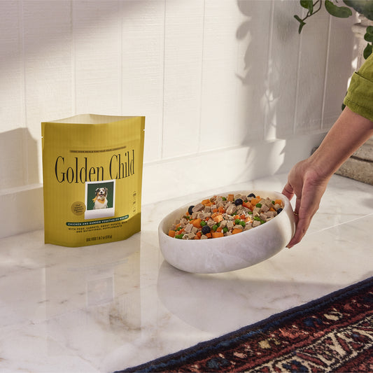 Chicken and Butternut Squash Recipe